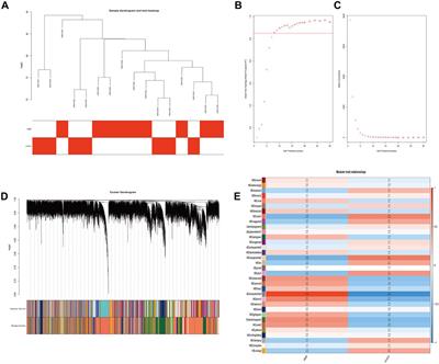 Identification of the CDH18 gene associated with age-related macular degeneration using weighted gene co-expression network analysis